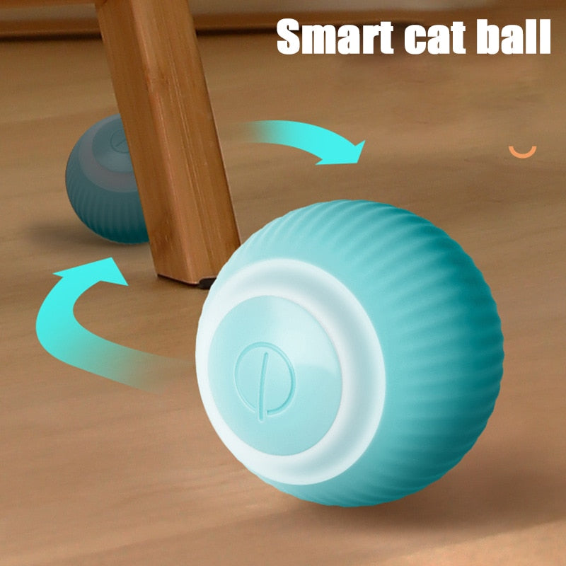 Smart Ball for Pets 