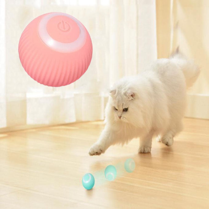 Smart Ball for Pets 