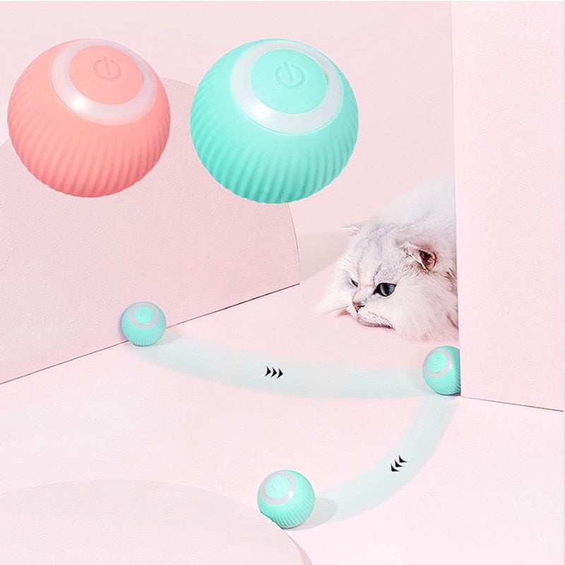 Smart Ball for Pets 